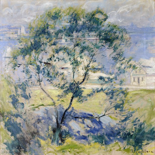 The Wild Cherry Tree by John Henry Twachtman