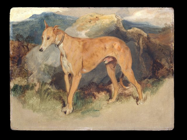 A Deerhound by Edwin Landseer