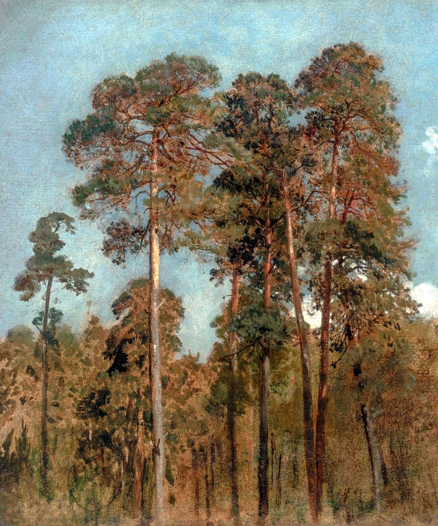 Pine Trees by Maksymilian Gierymski