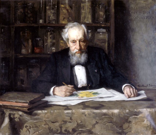 Portrait of Prof. Hugo de Vries by Thérèse Schwartze