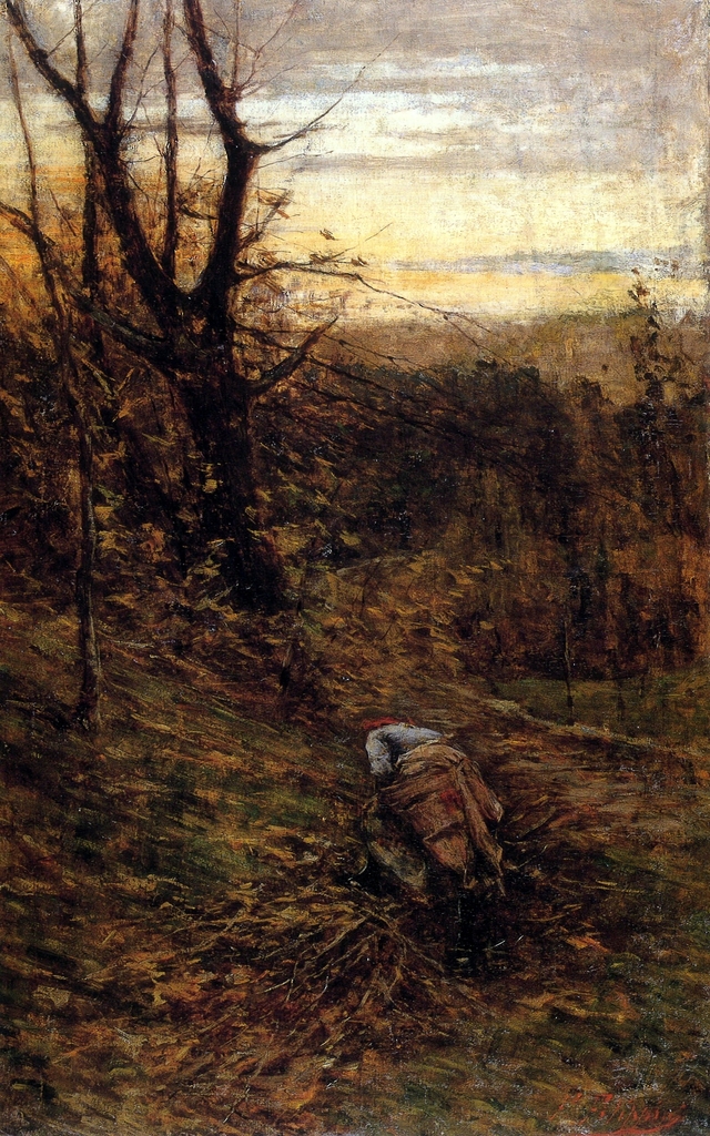 The collection of wood by Francesco Filippini