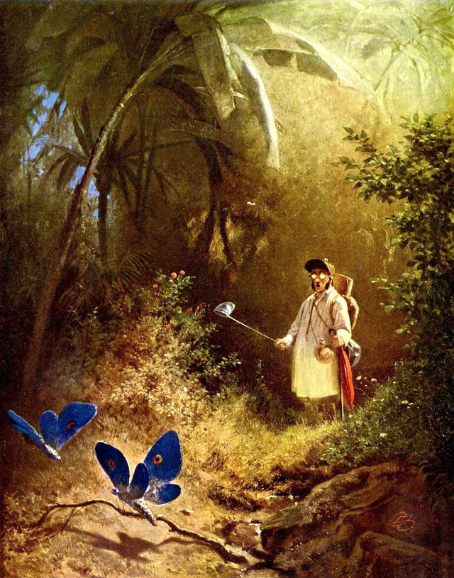 The Butterfly Hunter by Carl Spitzweg