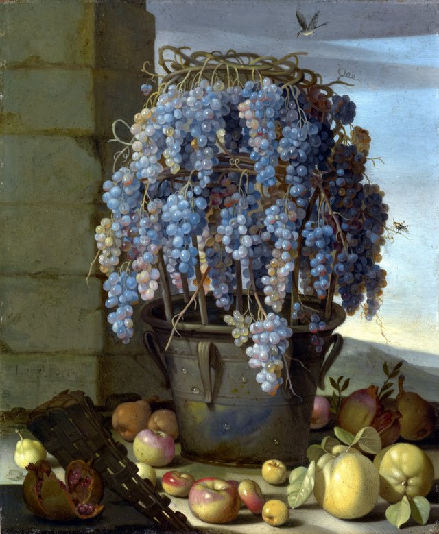 Still Life with Grapes and other Fruit by Luca Forte