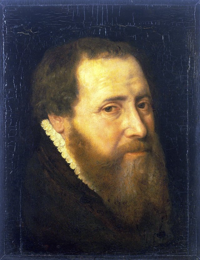 Portrait of a Man by Willem Key