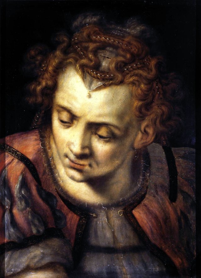 Study of the Head of a Woman by Frans Floris