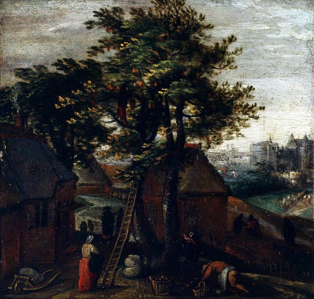 Spring by Gillis Mostaert