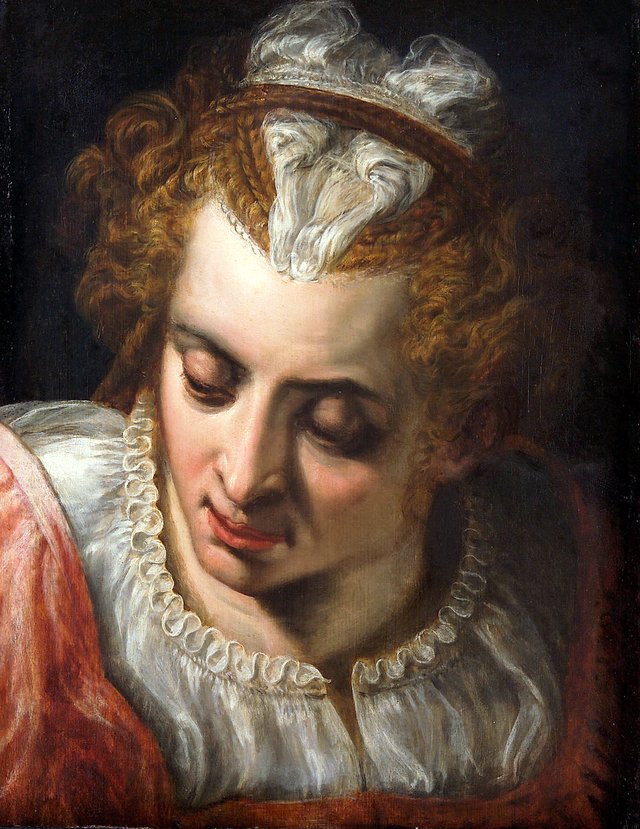 Study of a Head by Frans Floris