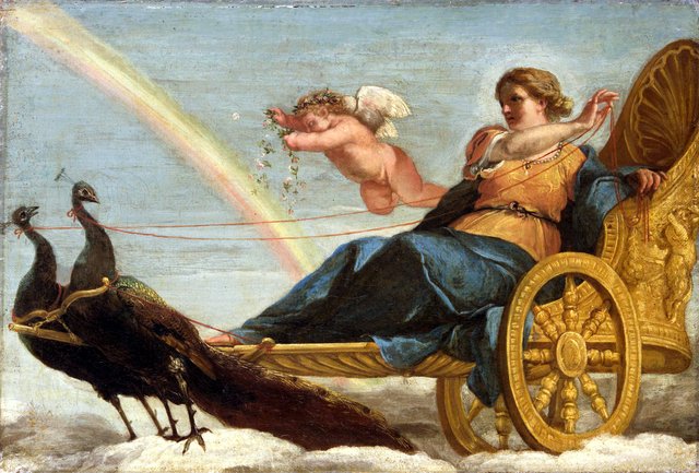 Juno in the peacock chariot by Andrea Sacchi