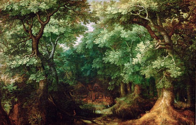 Wooded landscape by Gillis van Coninxloo