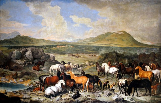 Kaiserliches Gestüt zu Lipizza am Karst by Johann Georg de Hamilton