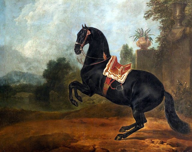 Rappe in der Levade by Johann Georg de Hamilton