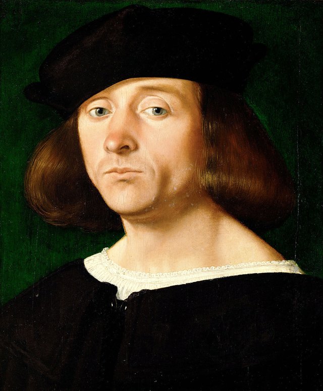 Portrait of a young Man by Andrea Previtali