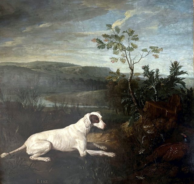 Lise, chienne de la meute de Louis XIV by Alexandre-François Desportes