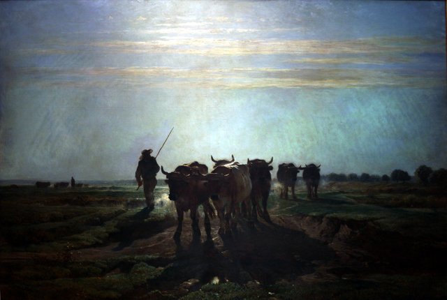 Oxes watching to tillage, morning sky by Constant Troyon