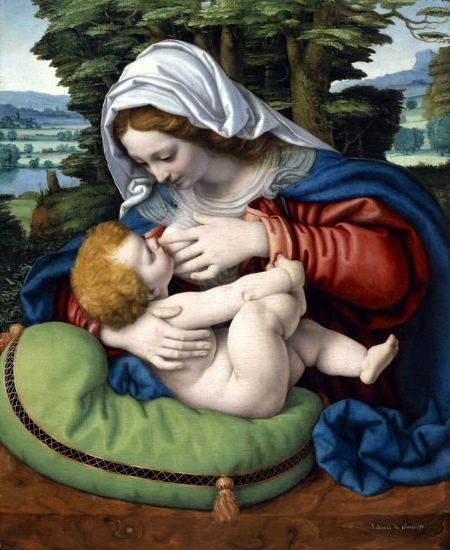 Madonna of the Green Cushion by Andrea Solari