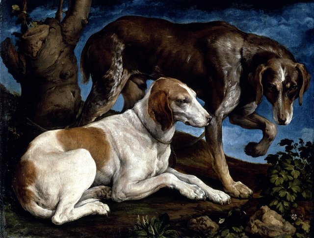 Two Hounds by Jacopo Bassano
