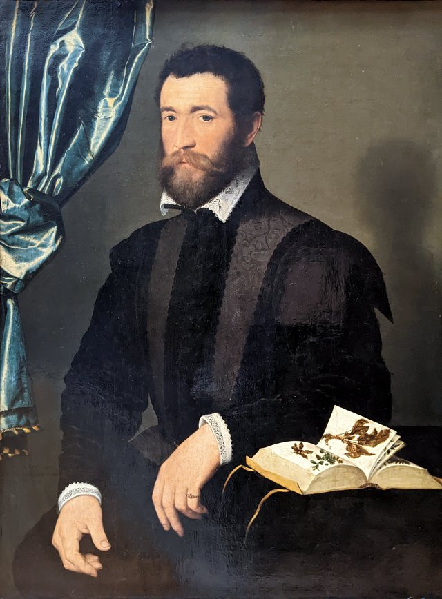 Pierre Quthe, Apothecary by François Clouet