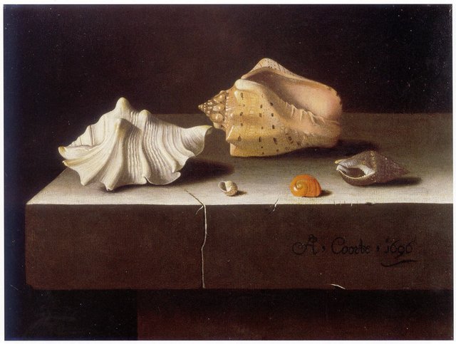 Still Life with Two Large and Three Smaller Shells by Adriaen Coorte