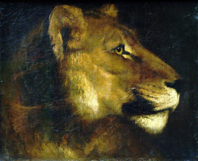 Head of a lion by Théodore Géricault