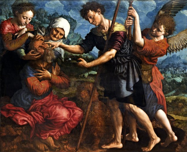 Tobias Cures his Father's Blindness by Jan Sanders van Hemessen