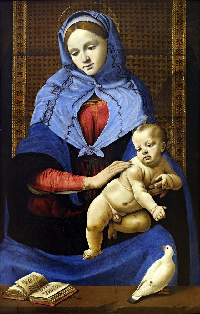 Madonna and Child with a Dove - Piero di Cosimo - Louvre INV 817 by Piero di Cosimo