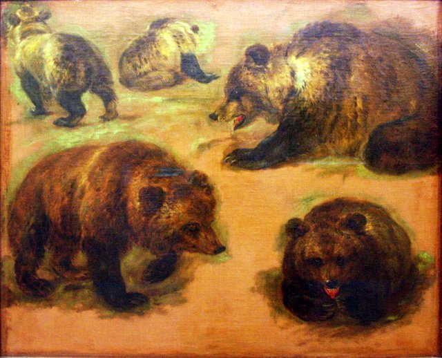 Study of a brown bear by Pieter Boel