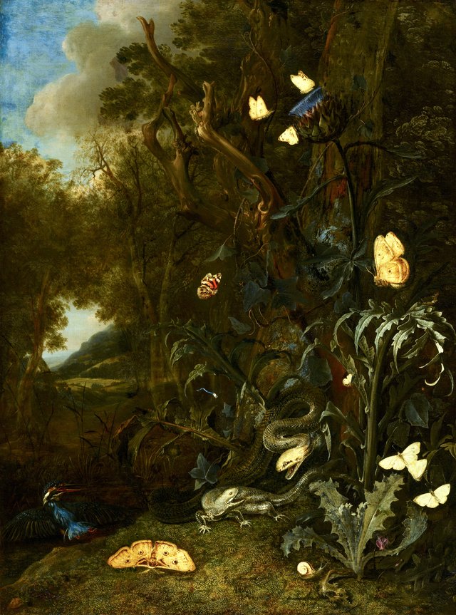 Plants and Insects by Otto Marseus van Schrieck