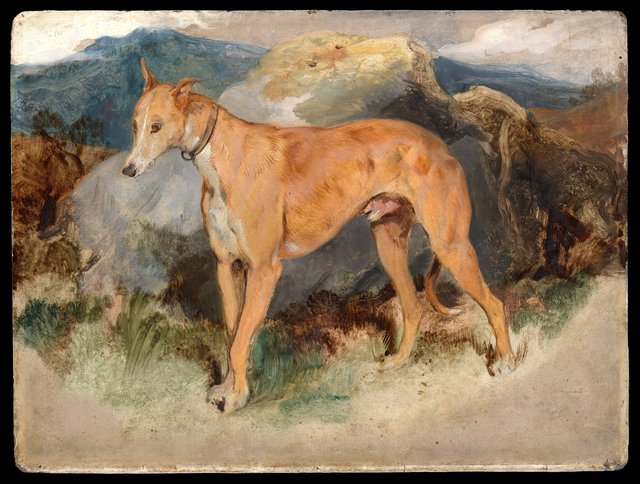 A Deerhound by Edwin Landseer