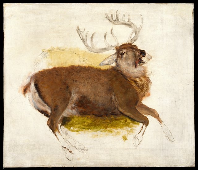 Dying Stag by Edwin Landseer