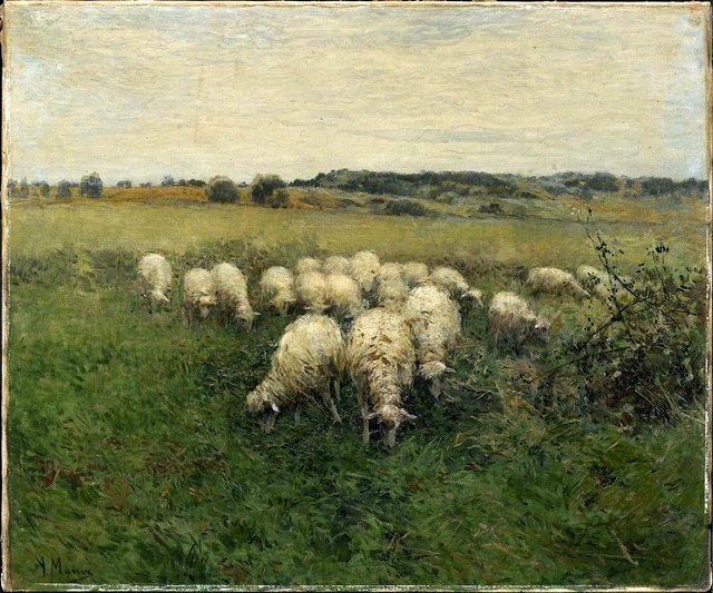 Sheep Grazing in an Open Field by Anton Mauve