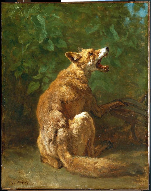 Fox in a Trap by Constant Troyon
