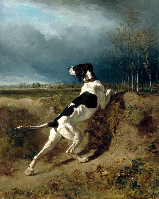 Hound Pointing by Constant Troyon