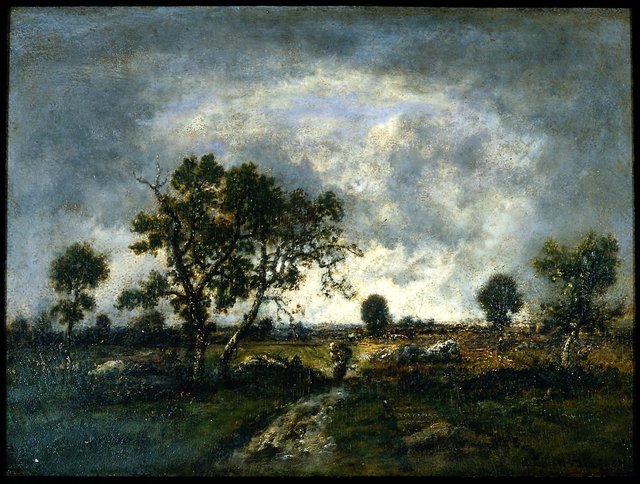 Fields at Barbizon by Narcisse Virgilio Díaz