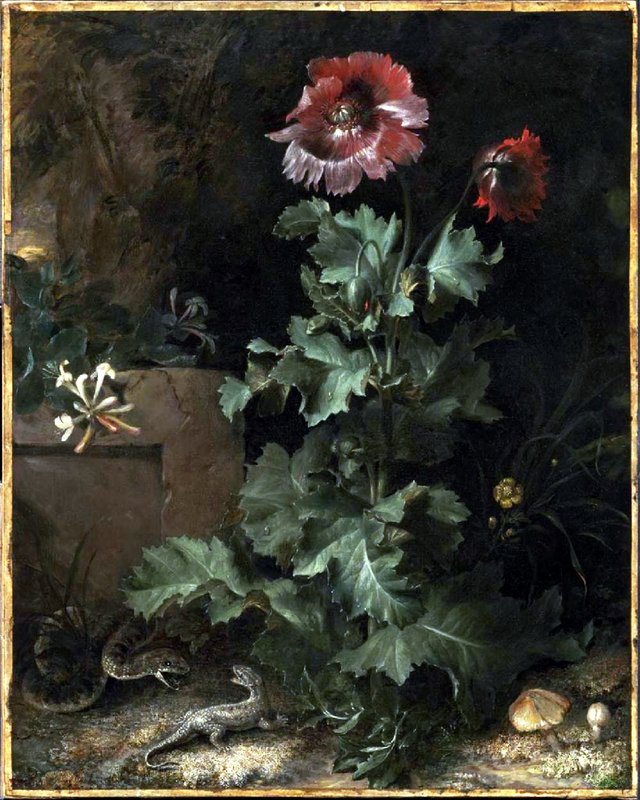 Still Life with Snake and Lizard by Otto Marseus van Schrieck