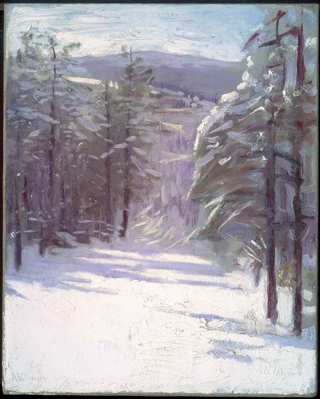 Winter Scene by Abbott Handerson Thayer