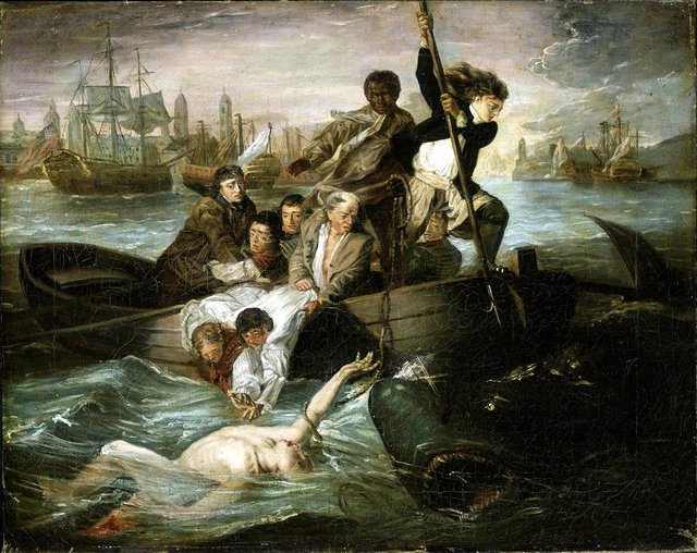 Watson and the Shark by Henry Sargent