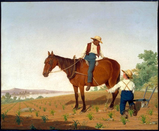 In the Cornfield by James Goodwyn Clonney