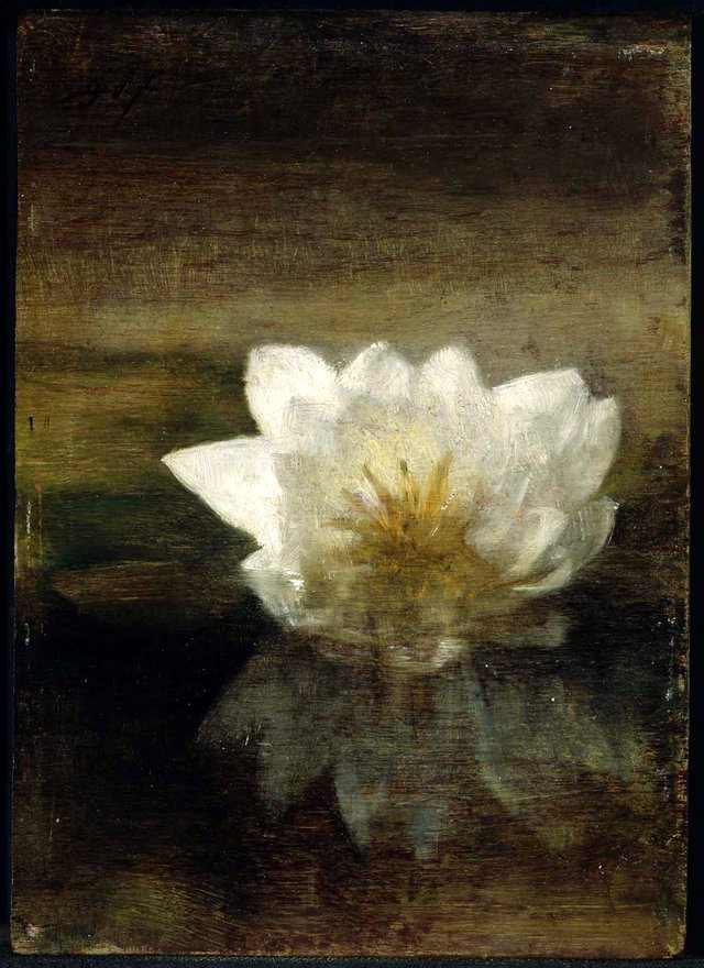 Water Lily by John La Farge