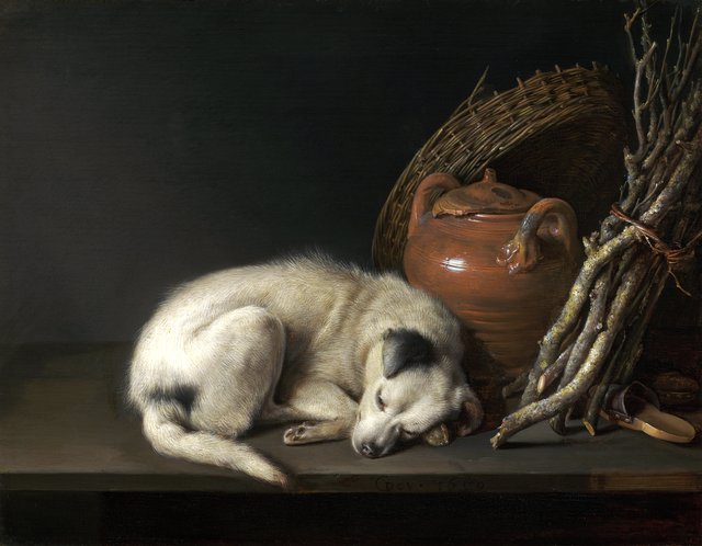 Dog at Rest by Gerrit Dou