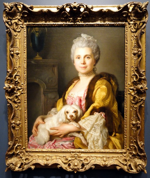 Portrait of Madame Fréret d’Héricourt by Joseph-Siffred Duplessis