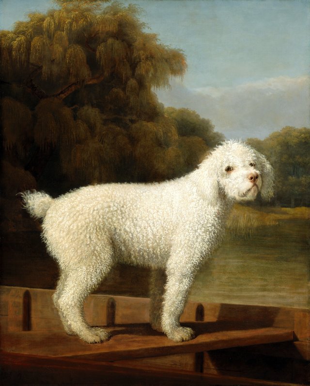 White Poodle in a Punt by George Stubbs