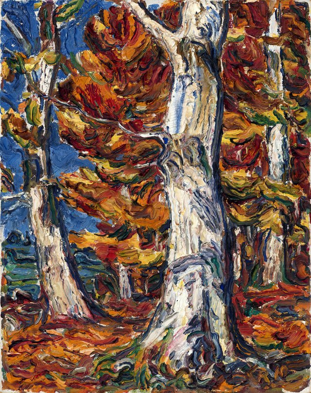 White Beeches in Fall by Christian Rohlfs