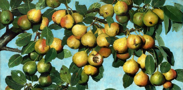 Ripening Pears by Joseph Decker