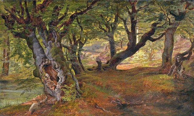 View of Bregentved Forest, Sjaeeland by Frederik Sødring