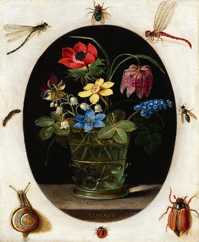 Still Life with Flowers Surrounded by Insects and a Snail by Clara Peeters