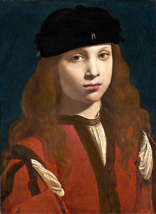 Portrait of a Youth by Giovanni Antonio Boltraffio