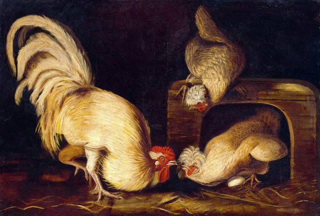 Farmyard Fowls by John James Audubon