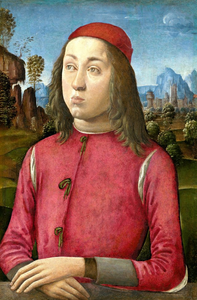 Portrait of a Youth by Agnolo di Domenico del Mazziere