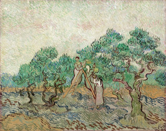 The Olive Orchard by Vincent van Gogh