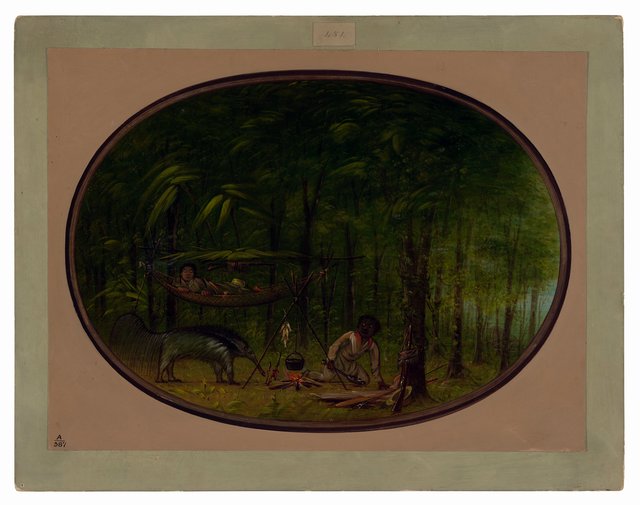 The Great Ant-Eater by George Catlin